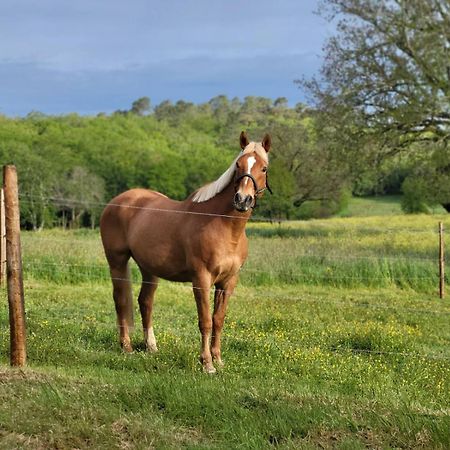 Maison Chaleureuse A La Campagne Payrignac Екстер'єр фото